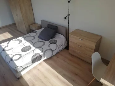 Stanza privata in Tours, 37200, immagine 4 di 49