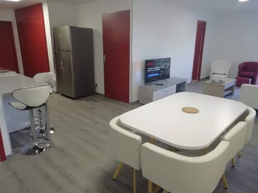 Stanza privata in Tours, 37200, immagine 31 di 49