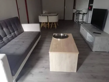 Stanza privata in Tours, 37200, immagine 32 di 49