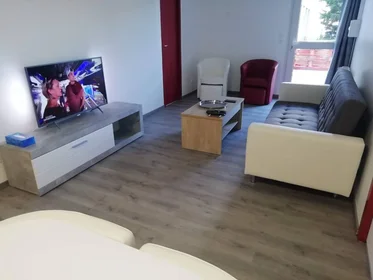 Stanza privata in Tours, 37200, immagine 35 di 49