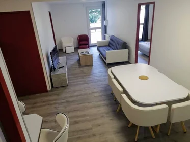 Stanza privata in Tours, 37200, immagine 37 di 49