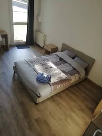 Stanza privata in Tours, 37200, immagine 38 di 49