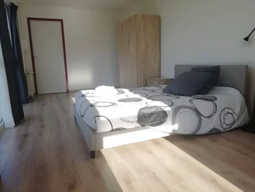 Stanza privata in Tours, 37200, immagine 5 di 49