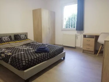Stanza privata in Tours, 37200, immagine 45 di 49
