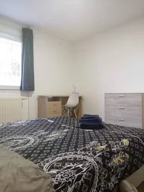 Stanza privata in Tours, 37200, immagine 46 di 49