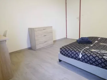 Stanza privata in Tours, 37200, immagine 47 di 49
