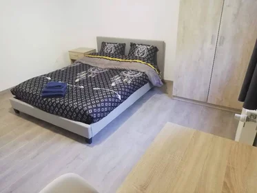 Stanza privata in Tours, 37200, immagine 48 di 49