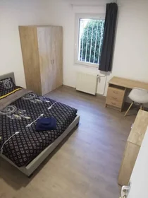Stanza privata in Tours, 37200, immagine 8 di 49