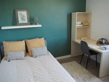Stanza privata in Tours, 37000, immagine 14 di 16