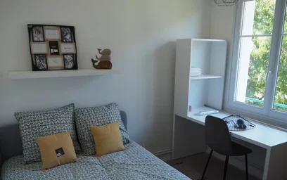Stanza privata in Tours, 37000, immagine 17 di 22