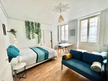 Quarto para alugar com cama de casal em Poitiers