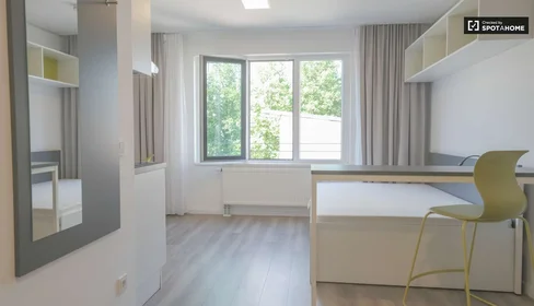 Kawalerka Mainzer Landstraße, obraz 1 10