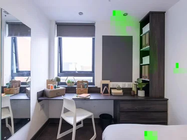 私人房间 在 Clarence Street, 30的图像17