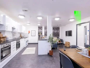 Habitación privada en Clarence Street, imagen 11 de 38