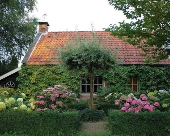 Appartamento intero in Koppeldijk, immagine 1 di 5