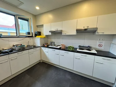 Chambre privée à Berg en Dalseweg, image 5 de 8