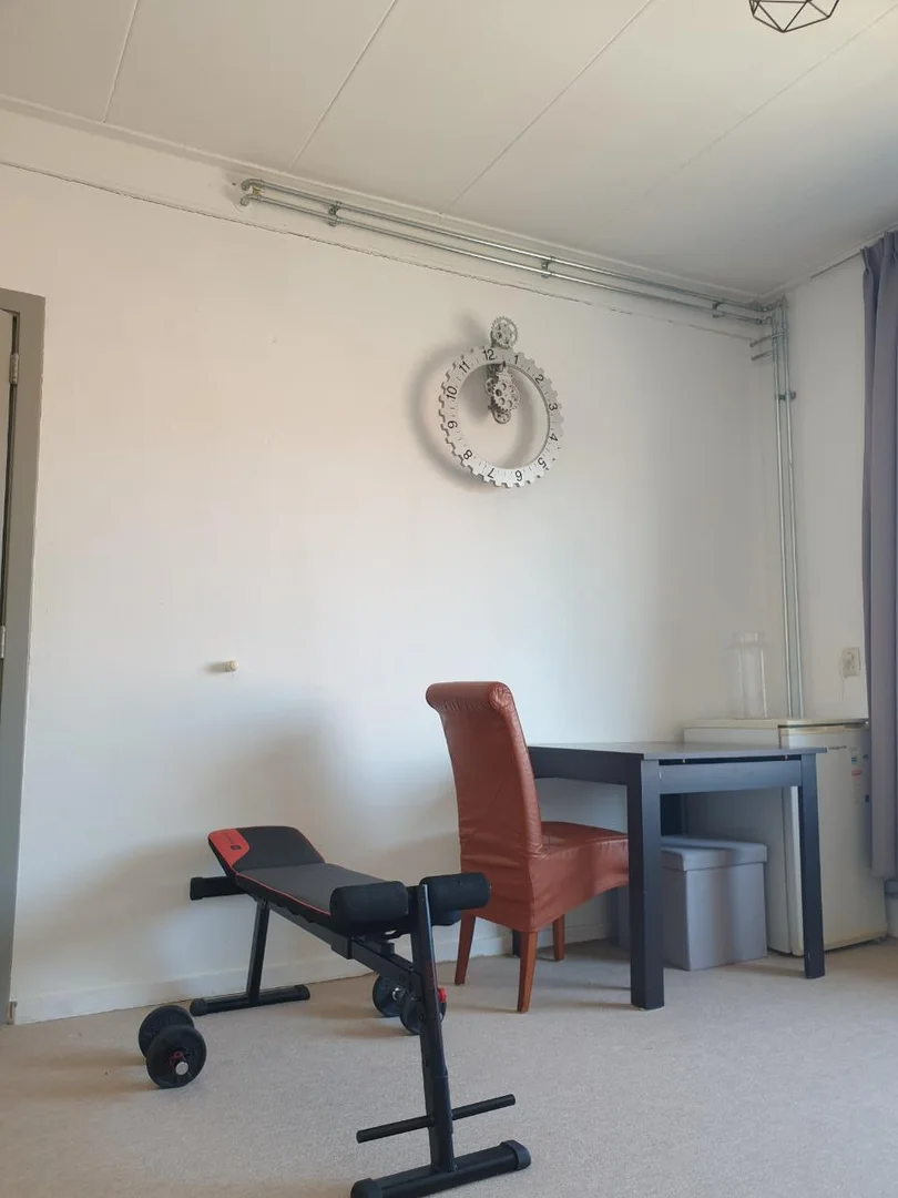 'de modern olanaklara sahip öğrenci dostu oda