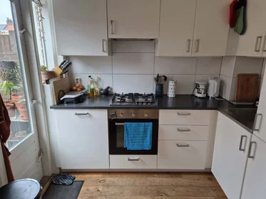 Privatzimmer in der Van 't Hoffstraat, bild 1 von 10