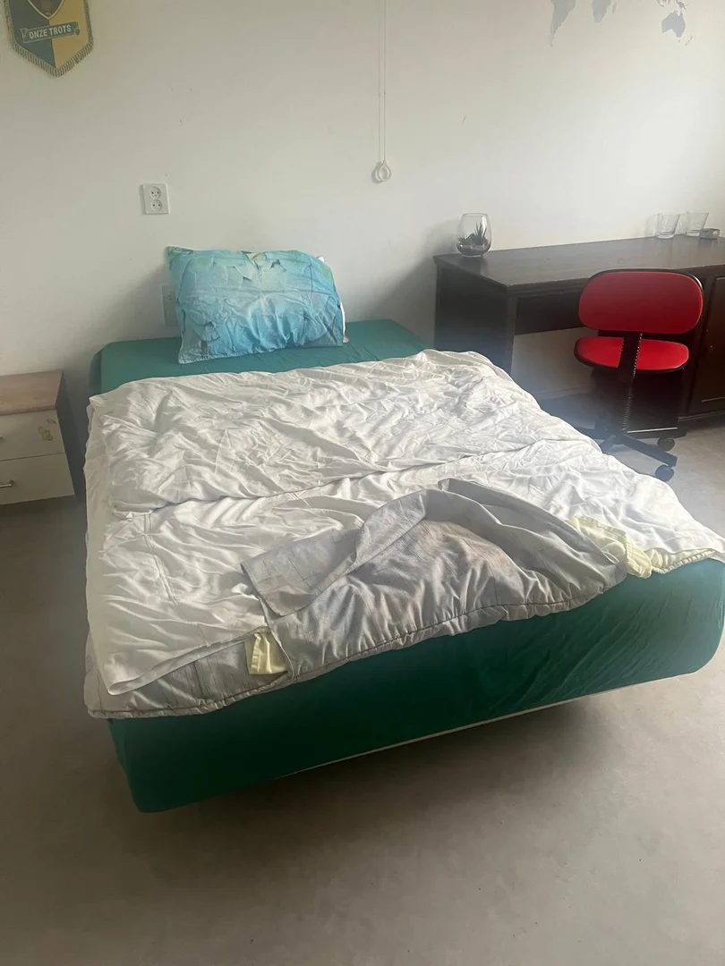 Chambre d'étudiant économique avec emplacement pratique dans 