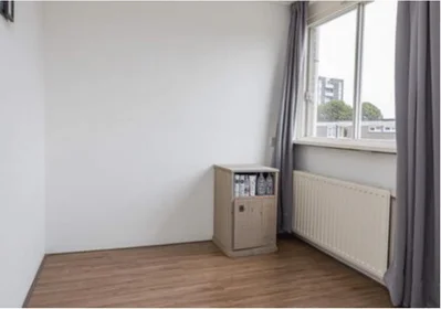 Chambre privée à Hoeckelumstraat, image 6 de 6