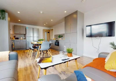 Özel oda Ikamet yerinde konumu 9 Bishop St, Coventry CV1 1AQ, United Kingdom         , 4 21 görüntüsü