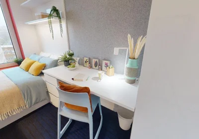 Stanza privata in residence in 7 The Furlong, Brighton and Hove, Brighton BN2 4FR, United Kingdom, immagine 2 di 25