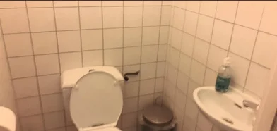 Özel oda konumu Daalseweg, 6 7 görüntüsü