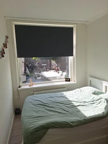 Özel oda konumu Van den Boschstraat, 5 10 görüntüsü