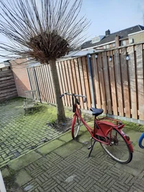 Özel oda konumu Van den Boschstraat, 8 10 görüntüsü