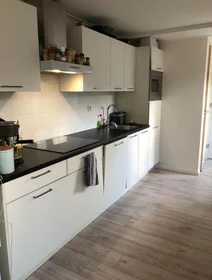 Özel oda konumu Van den Boschstraat, 9 10 görüntüsü