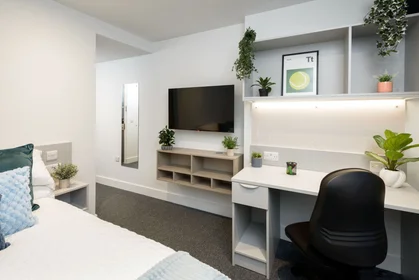 Apartamento inteiro em residência em true Sheffield, 12 Tenter Street, Sheffield S1 4XF, imagem 2 de 49