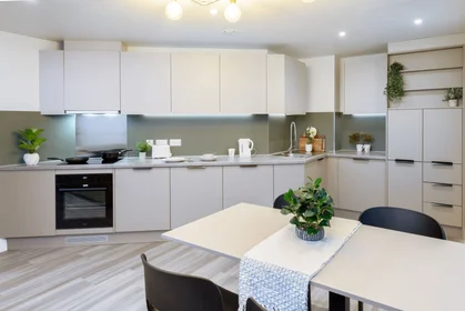 Apartamento inteiro em residência em true Sheffield, 12 Tenter Street, Sheffield S1 4XF, imagem 11 de 49