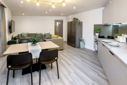 Apartamento inteiro em residência em true Sheffield, 12 Tenter Street, Sheffield S1 4XF, imagem 12 de 49