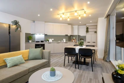 Apartamento inteiro em residência em true Sheffield, 12 Tenter Street, Sheffield S1 4XF, imagem 14 de 49