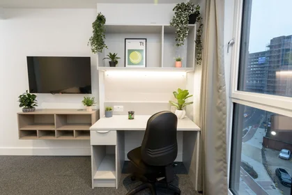 Apartamento inteiro em residência em true Sheffield, 12 Tenter Street, Sheffield S1 4XF, imagem 3 de 49