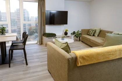 Apartamento inteiro em residência em true Sheffield, 12 Tenter Street, Sheffield S1 4XF, imagem 6 de 49