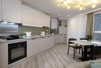 Apartamento inteiro em residência em true Sheffield, 12 Tenter Street, Sheffield S1 4XF, imagem 7 de 49