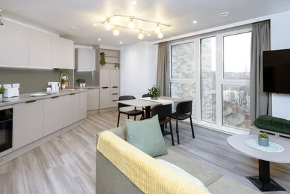 Apartamento inteiro em residência em true Sheffield, 12 Tenter Street, Sheffield S1 4XF, imagem 9 de 49