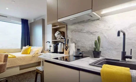Gesamte Unterkunft im Wohnheim in der 6 Miles Street, Vauxhall, London SW8 1RZ, United Kingdom, bild 22 von 26
