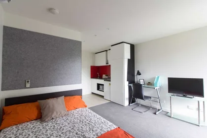 Alojamiento entero en residencia en 386 Burwood Hwy, Burwood VIC 3125, Australia, imagen 13 de 16