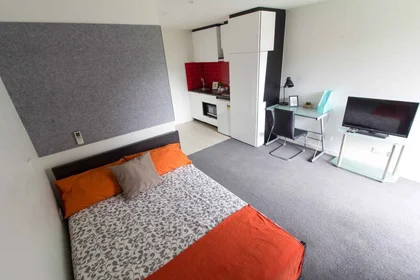 Alojamiento entero en residencia en 386 Burwood Hwy, Burwood VIC 3125, Australia, imagen 14 de 16