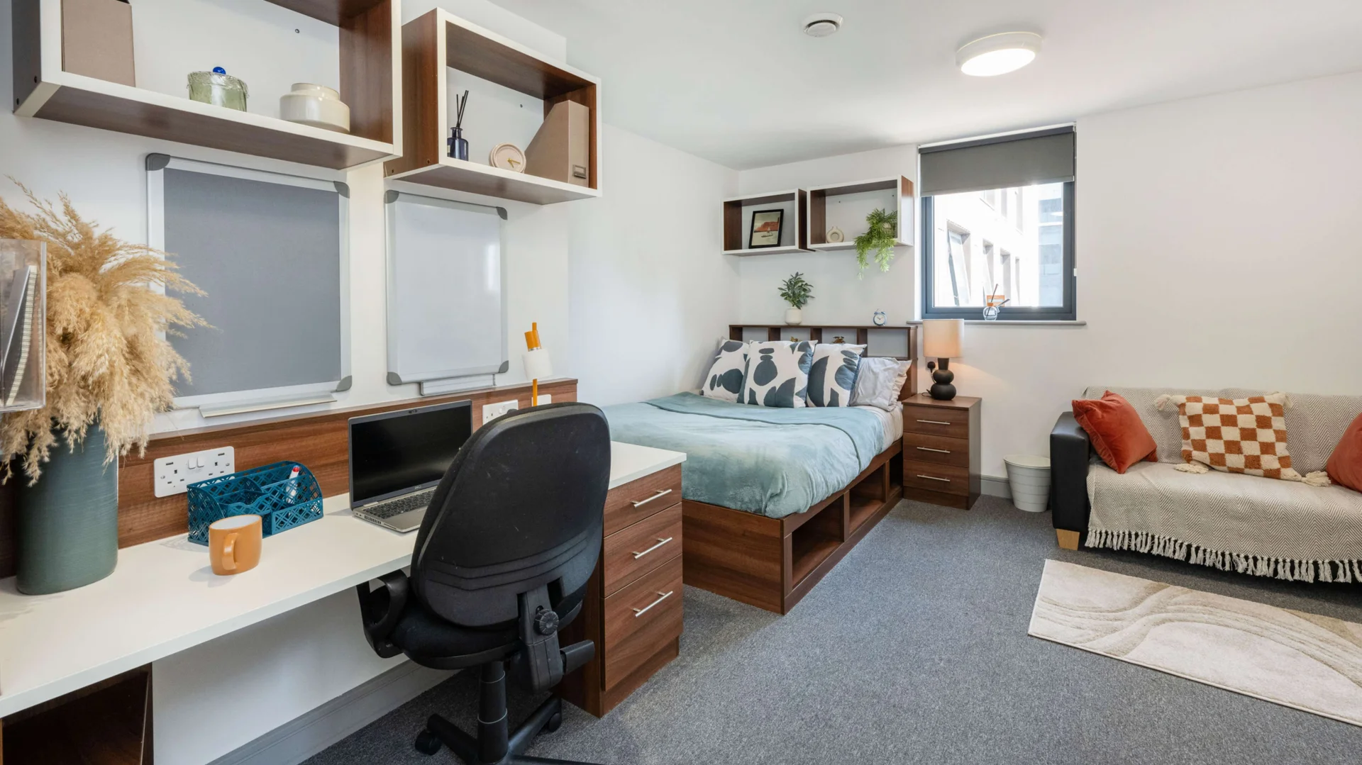 Affordable room for students with ample lighting in 