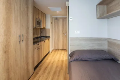 Privatzimmer im Wohnheim in der Gabriel Aresti Hiribidea, 40, bild 1 von 15