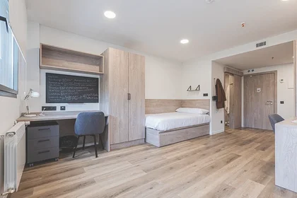 Mehrbettzimmer im Wohnheim in der Santander, bild 5 von 17