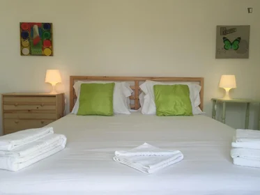 Entire apartment at Rua das Escolas Gerais, image 3 of 22