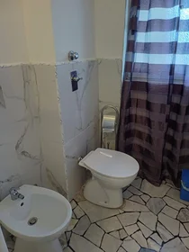Chambre privée à Viale Lombardia, image 13 de 18