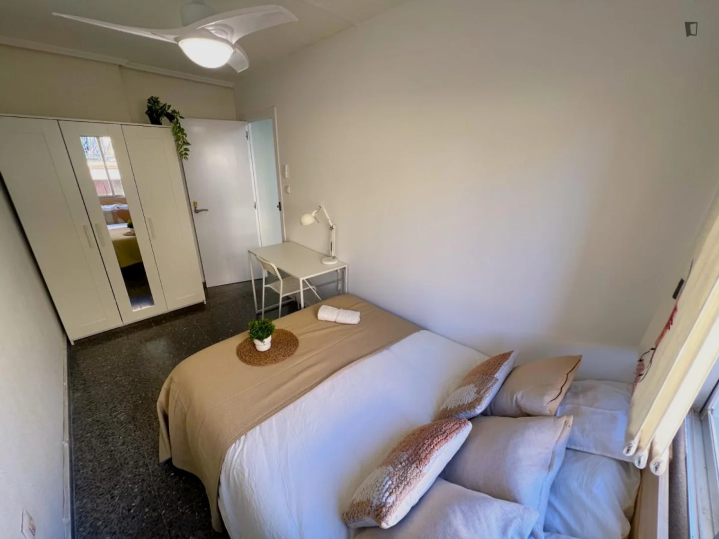 Affordable room for students with ample lighting in 