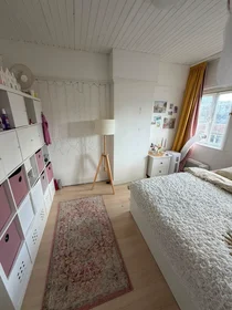 Private room at Harddraverstraat, image 4 of 10