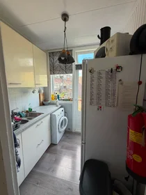 Private room at Harddraverstraat, image 5 of 10