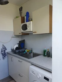 Private room at Harddraverstraat, image 8 of 10